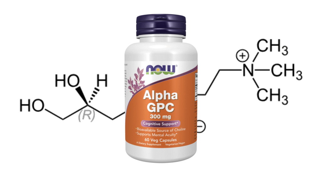 アルファGPCの筋肉への効果:科学的根拠と実践的活用法
